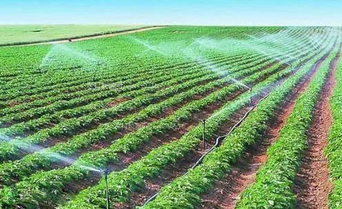 黄片操b农田高 效节水灌溉